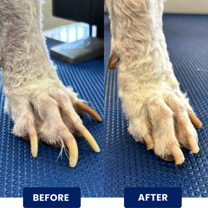 https://cdn.shopify.com/s/files/1/0981/4848/3401/files/BEFOREAFTER1.png?v=1775068793