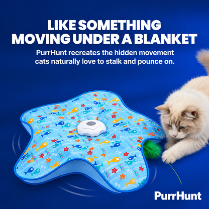 PurrHunt - Interactive Cat Toy with Hidden Feather