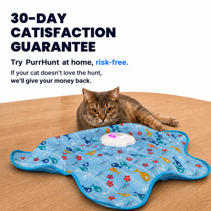 PurrHunt - Interactive Cat Toy with Hidden Feather