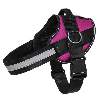 SteadyPaw™ Harness