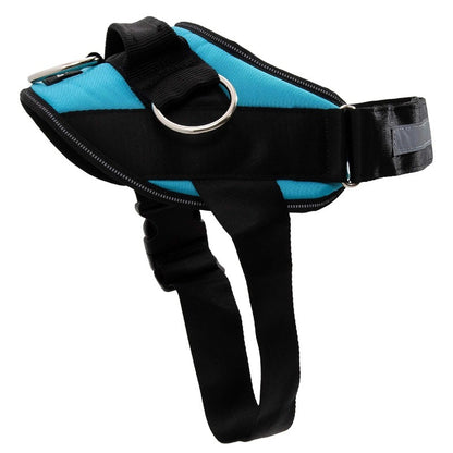 SteadyPaw™ Harness