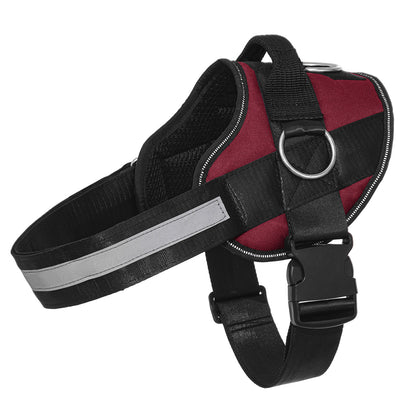 SteadyPaw™ Harness