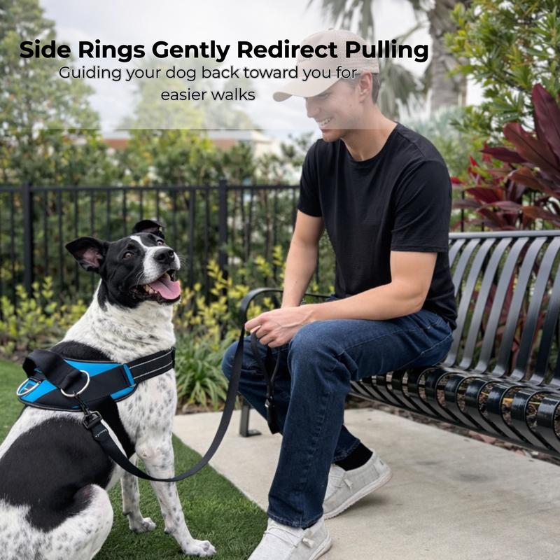 SteadyPaw™ Harness