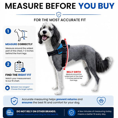 SteadyPaw™ Harness